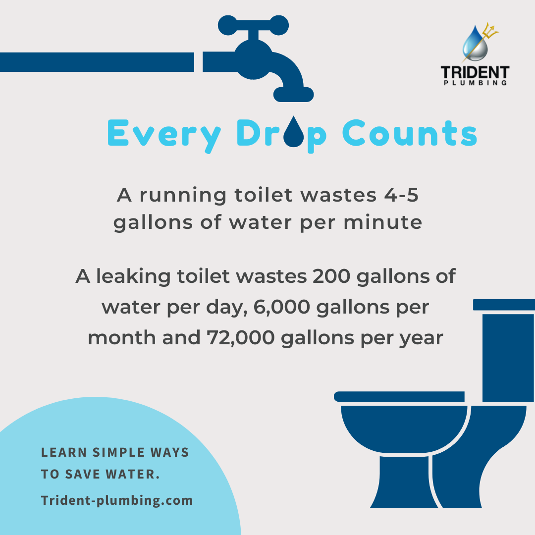 https://www.trident-plumbing.com/wp-content/uploads/2022/02/toilet-facts.png